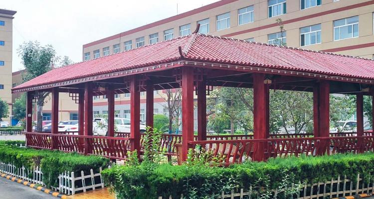 低聚木糖粉廠家